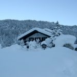 haus seewinkl